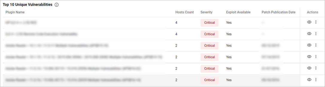 Top 10 Unique Vulnerabilities Section